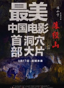 亚洲精品视频在线观看视频